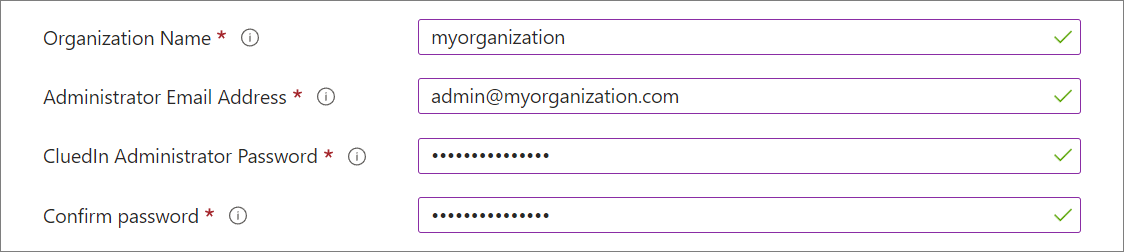 Organization details on the Instance Setup tab: Organization Name, Administrator Email Address, CluedIn Administrator Password, and Confirm password