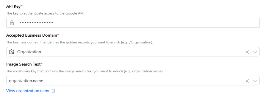Google Images enricher settings: API Key, Accepted Business Domain set to Organization and Image Search Text set to organization.name